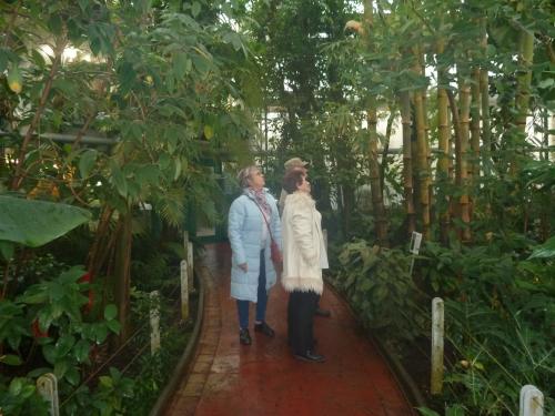 Tajný výlet pro důchodce - Botanická zahrada Liberec, restaurace v Údolí - Jílové - 10. prosince 2019
